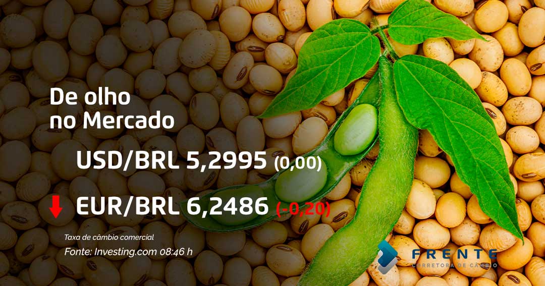 De olho no mercado – 08 de setembro de 2020